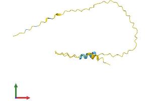 AlphaFold protein structure predicition of Human Recombinant PAGE2B Protein, UniprotID Q5JRK9 (PAGE2B Protein (AA 1-111) (His tag))