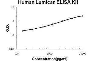 Human Lumican PicoKine ELISA Kit standard curve (LUM ELISA 试剂盒)