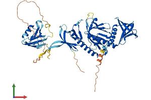 Protein Structure (PS) image for Syntrophin, gamma 1 (SNTG1) (AA 1-517) protein (His tag) (ABIN7546071)