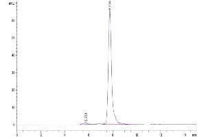 The purity of Mouse TLT-1 is greater than 95 % as determined by SEC-HPLC. (TREML1 Protein (AA 21-175) (Fc Tag))