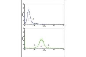Flow Cytometry (FACS) image for anti-Paired Box 8 (PAX8) (AA 285-313) antibody (ABIN3032136)