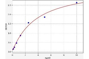 Typical standard curve (Casein Kinase 1 delta ELISA 试剂盒)
