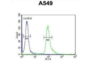 Flow Cytometry (FACS) image for anti-Abhydrolase Domain Containing 12 (ABHD12) antibody (ABIN3003955)