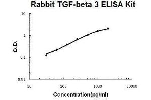 Rabbit TGF-beta 3 PicoKine ELISA Kit standard curve (TGFB3 ELISA 试剂盒)