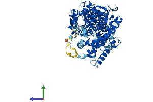AlphaFold protein structure predicition of Human Recombinant TBXAS1 Protein, UniprotID P24557