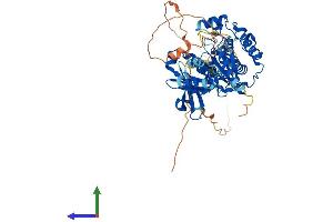 Protein Structure (PS) image for 3-phosphoinositide Dependent Protein Kinase-1 (PDPK1) (AA 1-559) protein (His tag) (ABIN7565293)