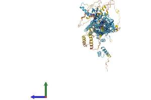 AlphaFold protein structure predicition of Human Recombinant TUBGCP5 Protein, UniprotID Q96RT8 (TUBGCP5 Protein (AA 1-1024) (His tag))