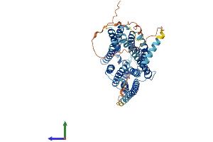 Protein Structure (PS) image for Solute Carrier Family 19, Member 3 (Slc19a3) (AA 1-488) protein (His tag) (ABIN7560463)