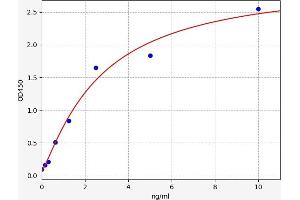 Aminoacylase 1 (ACY1) ELISA Kit