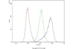 Flow cytometry testing of human U-2 OS cells with Dynamin 1 antibody at 1ug/10^6 cells (blocked with goat sera) (Dynamin 1 抗体)
