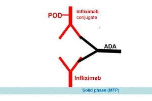 Image no. 1 for Infliximab Antibody ELISA Kit (ABIN2862658) (Infliximab Antibody ELISA 试剂盒)
