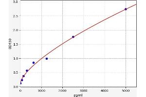 Typical standard curve (RAP1A ELISA 试剂盒)
