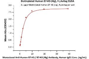 Immobilized Biotinylated Human B7-H3 (4Ig), Fc,Avitag (ABIN6731234,ABIN6809940) at 1 μg/mL (100 μL/well) on Streptavidin  precoated (0.