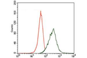 Flow Cytometry (FACS) image for anti-Microtubule-Associated Protein 2 (MAP2) (AA 24-123) antibody (ABIN1846128) (MAP2 抗体  (AA 24-123))