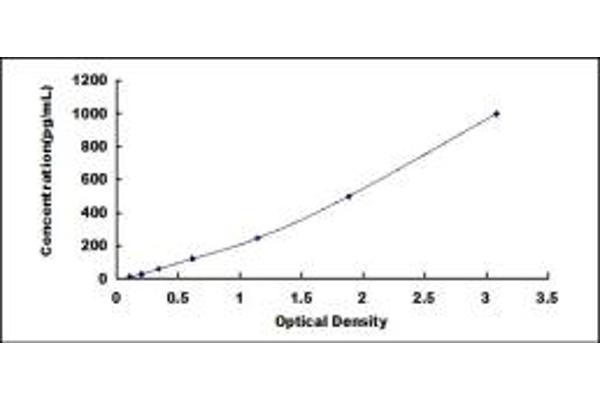 Glutathione Peroxidase 1 ELISA 试剂盒