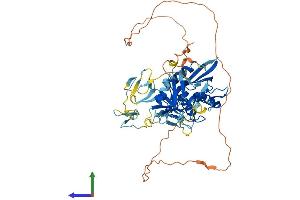 Protein Structure (PS) image for C-Type Lectin Domain Family 18, Member A (CLEC18A) (AA 1-534) protein (His tag) (ABIN7558296)