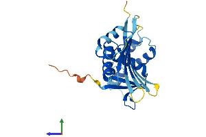 Protein Structure (PS) image for Potassium Channel Tetramerisation Domain Containing 6 (KCTD6) (AA 1-237) protein (His tag) (ABIN7548856)