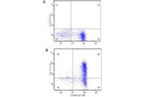 Image no. 2 for anti-Interleukin 6 (IL6) antibody (ABIN1102501) (IL-6 抗体)