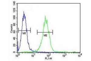 SOX4 antibody flow cytometric analysis of A2058 cells (green) compared to a  (SOX4 抗体  (AA 86-114))