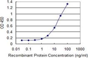Detection limit for recombinant GST tagged OXSR1 is 0. (OXSR1 抗体  (AA 1-527))