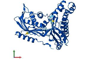 Protein Structure (PS) image for Galactokinase 1 (GALK1) (AA 1-392) protein (His tag) (ABIN7547884)