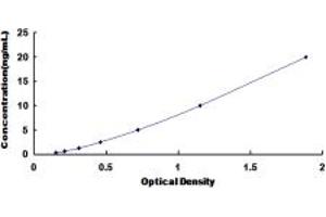 Typical standard curve (MCHR1 ELISA 试剂盒)