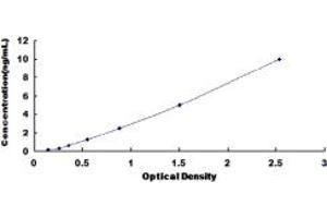 Typical standard curve (TIMP4 ELISA 试剂盒)