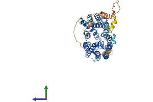 AlphaFold protein structure predicition of Mouse Recombinant Slc16a1 Protein, UniprotID P53986 (SLC16A1 Protein (AA 1-493) (His tag))