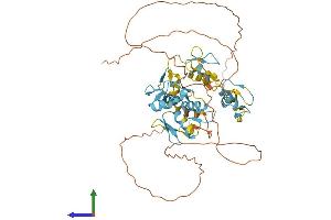 ZNF639 Protein (AA 1-485) (His tag)