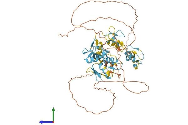 ZNF639 Protein (AA 1-485) (His tag)