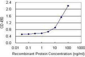 Sandwich ELISA detection sensitivity ranging from 3 ng/mL to 100 ng/mL. (CD248 (人) Matched Antibody Pair)