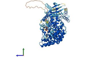 Protein Structure (PS) image for Adaptor-Related Protein Complex 4, beta 1 Subunit (AP4B1) (AA 1-739) protein (His tag) (ABIN7552129)