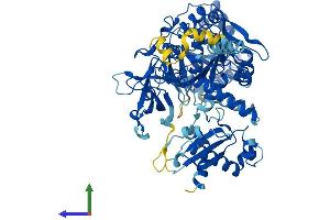AlphaFold protein structure predicition of Mouse Recombinant Acsl1 Protein, UniprotID P41216