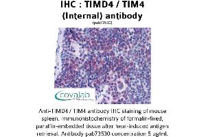 Image no. 1 for anti-T-Cell Immunoglobulin and Mucin Domain Containing 4 (TIMD4) (Internal Region) antibody (ABIN1740078) (TIMD4 抗体  (Internal Region))