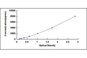 Typical standard curve (SFRP2 ELISA 试剂盒)