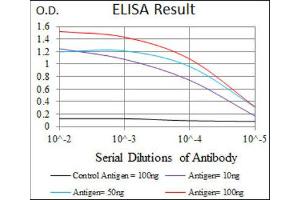 ELISA image for anti-Polo-Like Kinase 1 (PLK1) (AA 331-508) antibody (ABIN1844749) (PLK1 抗体  (AA 331-508))