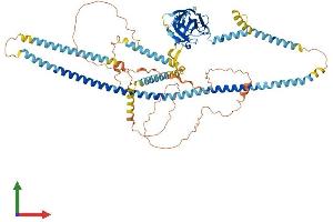 Protein Structure (PS) image for Sad1 and UNC84 Domain Containing 2 (SUN2) (AA 1-731) protein (His tag) (ABIN7564373)