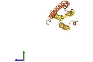 AlphaFold protein structure predicition of Human Recombinant DAOA Protein, UniprotID P59103