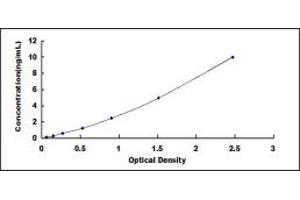 Typical standard curve (FPR2 ELISA 试剂盒)