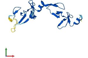 AlphaFold protein structure predicition of Human Recombinant LMO2 Protein, UniprotID P25791