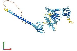 Protein Structure (PS) image for Proteasome (Prosome, Macropain) 26S Subunit, ATPase, 4 (PSMC4) (AA 1-418) protein (His tag) (ABIN7551041)