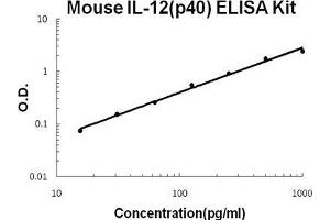 Mouse IL-12(p40) PicoKine ELISA Kit standard curve (IL12B ELISA 试剂盒)