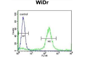 ADAMDEC1 Antibody (N-term) flow cytometric analysis of WiDr cells (right histogram) compared to a negative control cell (left histogram). (ADAMDEC1 抗体  (N-Term))