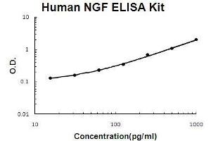 Human NGF/NGF beta PicoKine ELISA Kit standard curve (Nerve Growth Factor ELISA 试剂盒)