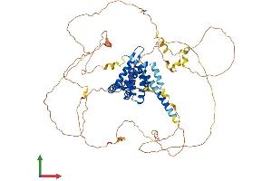 Protein Structure (PS) image for Epsin 2 (EPN2) (AA 1-641) protein (His tag) (ABIN7547453)