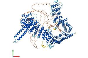Protein Structure (PS) image for Stromal Antigen 2 (STAG2) (AA 1-1231) protein (His tag) (ABIN7555651)