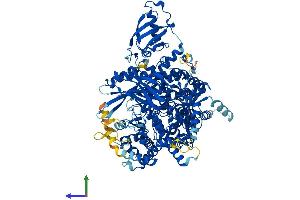 AlphaFold protein structure predicition of Mouse Recombinant Pik3ca Protein, UniprotID P42337