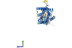 AlphaFold protein structure predicition of Human Recombinant GPR45 Protein, UniprotID Q9Y5Y3