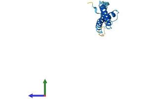 Protein Structure (PS) image for Chromosome 20 Open Reading Frame 30 (C20orf30) (AA 1-120) protein (His tag) (ABIN7559371)