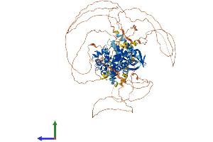 Protein Structure (PS) image for Unc-51 Like Kinase 2 (ULK2) (AA 1-1036) protein (His tag) (ABIN7555930)